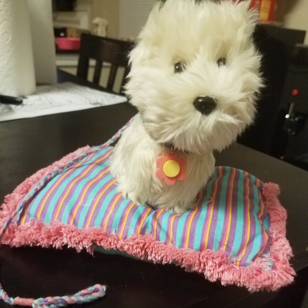 American Girl Coconut Bundle